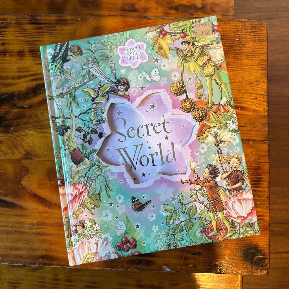 Vintage 2005 Flower Fairies Friends Secret World Hardcover Book